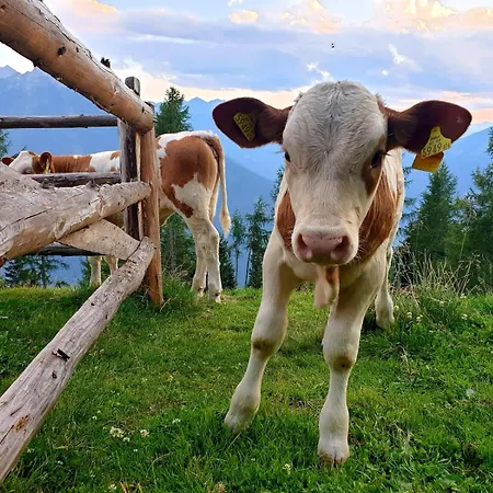 Appartement Tauernzwerg Am Bauernhof
