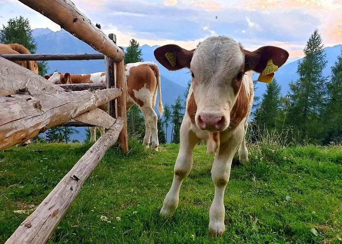 Apartament Tauernzwerg Am Bauernhof